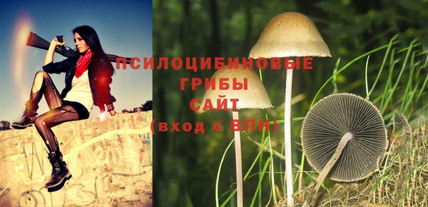 соль курить ск Заволжье