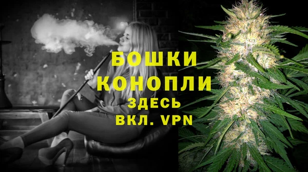 шишки Елизово