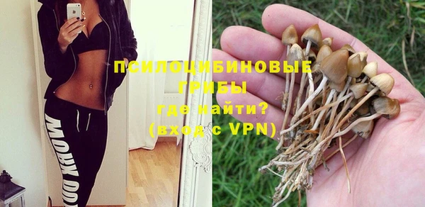 соль курить ск Заволжье