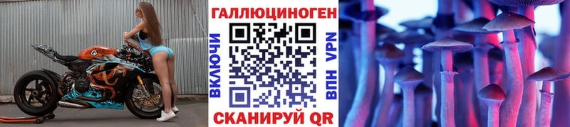 как найти   Севск  Псилоцибиновые грибы Cubensis 